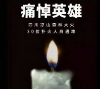 陽光甚好，是有人為我們擋住了黑暗...